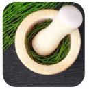 Schachtelhalm-kraut-bei-Cellulite-Tee